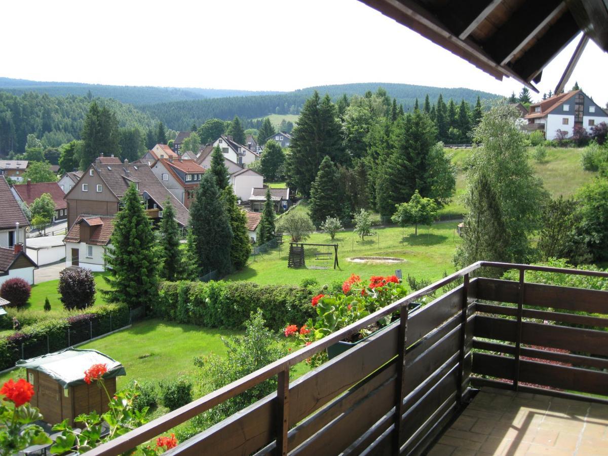 Appartementhaus Looss Altenau  Exterior photo