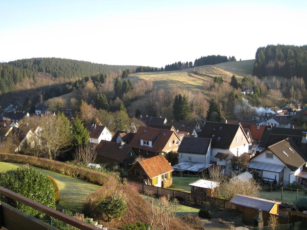 Appartementhaus Looss Altenau  Exterior photo